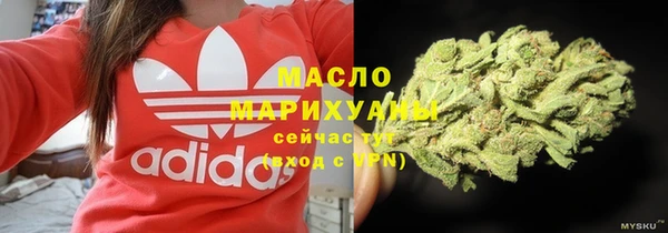 ешки Гусев