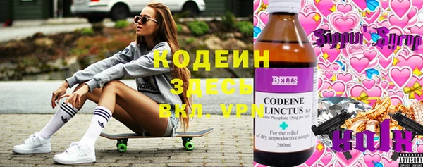ешки Гусев
